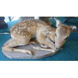 A fawn, fully mounted, lying with curled