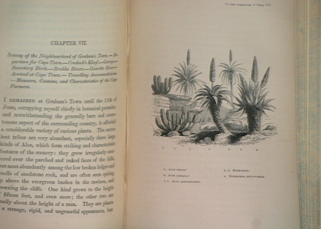 Bunbury, Charles J. F.Journal of a Residence at the Cape of Good Hope (1848)Journal of a Residence - Image 3 of 4