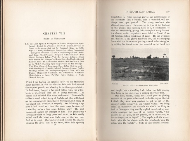Findlay (F.R.N.)  BIG GAME SHOOTING AND TRAVEL IN SOUTH-EAST AFRICAWith Chapters by Olive - Image 4 of 4