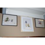 Two cell paintings "The Rescuers" and "Robin Hood",