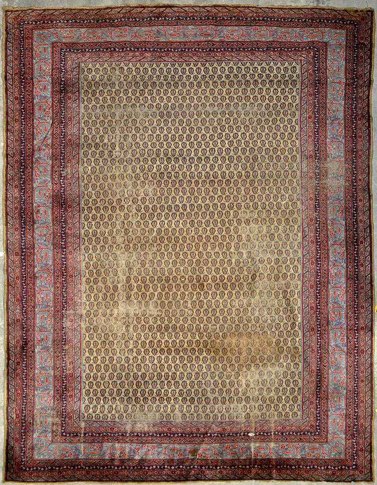 Sparta carpet, ivory field with allover mir-a-boteh,