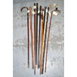 A collection of ten walking sticks and canes.