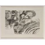 20th Century British School
STILL-LIFE STUDY OF A POTTED PLANT
charcoal
38 x 56cms; 15 x 22in.