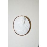 A Parian ware cameo brooch depicting a classical female figure, in yellow metal mount.