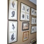 Limited edition signed prints - Bird studies to include: green woodpecker, tawny owl, cross-bill,