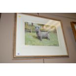 A watercolour - Portrait of a terrier, by John Valentine, signed and dated 1935.