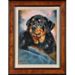John Tricket
(b.1952-)
PORTRAIT OF A ROTTWEILER
signed
oil on canvas
34.5 x 24cms; 13 1/2 x 9 1/2in.