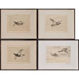 Robert Denholm
(Early 20th Century)
GAME BIRDS IN FLIGHT
signed in pencil
etchings
21.5 x 29.
