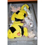A collection of TY Beanie Babies; and Beanie Buddies, in a single box.