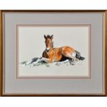 James Coates Railton
(b.1920-)
"THE FOAL"
signed; inscribed verso
watercolour
23.5 x 33.