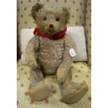 An early 20th century silver plush teddy bear, probably Steiff, with composite eyes, stitched nose