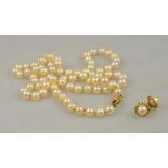 A uniform cultured pearl necklace on 9ct yellow gold snap, approx 67 cm long to/w pearl 9ct set