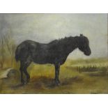 J. Emms - 'Molly', Study of a pony, oil