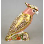 A Royal Crown Derby Imari decorated Cockatoo paperweight, limited edition, 1229/2500, c/w
