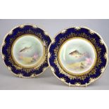 Two Aynsley cabinet plates handpainted t