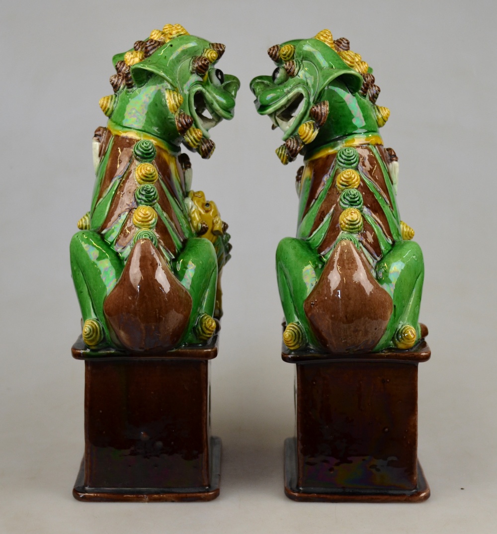 A pair of Chinese sancai glazed dogs of Fo seated on rectangular pedestal bases, early 20th century, - Image 4 of 4