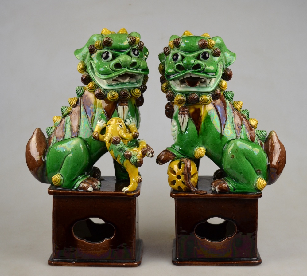 A pair of Chinese sancai glazed dogs of Fo seated on rectangular pedestal bases, early 20th century,