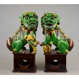 A pair of Chinese sancai glazed dogs of Fo seated on rectangular pedestal bases, early 20th century,