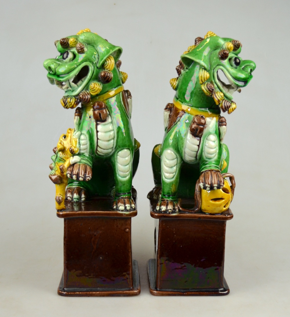 A pair of Chinese sancai glazed dogs of Fo seated on rectangular pedestal bases, early 20th century, - Image 2 of 4