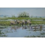 Neil Westwood - Sheep in fenland landscape, watercolour, signed lower left,