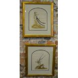 A pair of 19th century silk long-stitch pictures of exotic birds, 28 x 23 cm, in later arched mounts