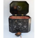 A Chinese 18th century black lacquer chamfered rectangular travelling box decorated in mother of