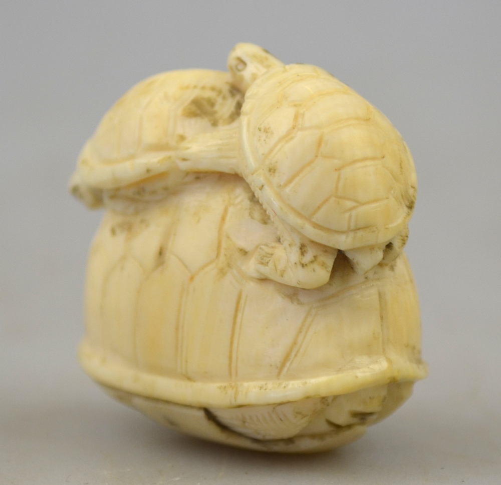 A Japanese ivory netsuke carved as two terrapins standing on a larger terrapin,