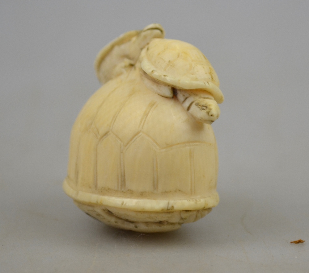 A Japanese ivory netsuke carved as two terrapins standing on a larger terrapin, - Image 2 of 3