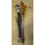 A bundle of walking sticks,