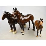 Two Beswick horses - The Winner, no 2421 and New Forest Pony, 2nd version, no 1636 to/w an