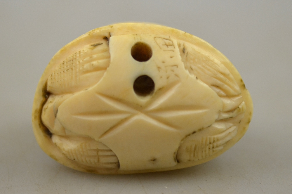 A Japanese ivory netsuke carved as two terrapins standing on a larger terrapin, - Image 3 of 3