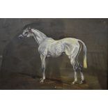 HM Mackenzie - 'Bethlehem', Study of a white horse, gouache on brown card,