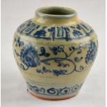 Chinese Ming Dynasty - small blue and white vase decorated with a central flower and leaf scroll, 10