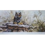 After Tony Forest (b 1961) -  Tiger on a rocky outcrop, limited edition 40/500 print,