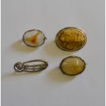 A collection of stone brooches including oval pudding stone, oval agate, oval carved agate bird,