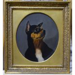 English school - Portrait study of a black and tan dog, oil on board, 27.5 x 24 cm Condition