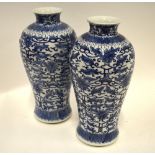 A pair of Chinese blue and white baluster vases decorated with flowers and foliage, four character