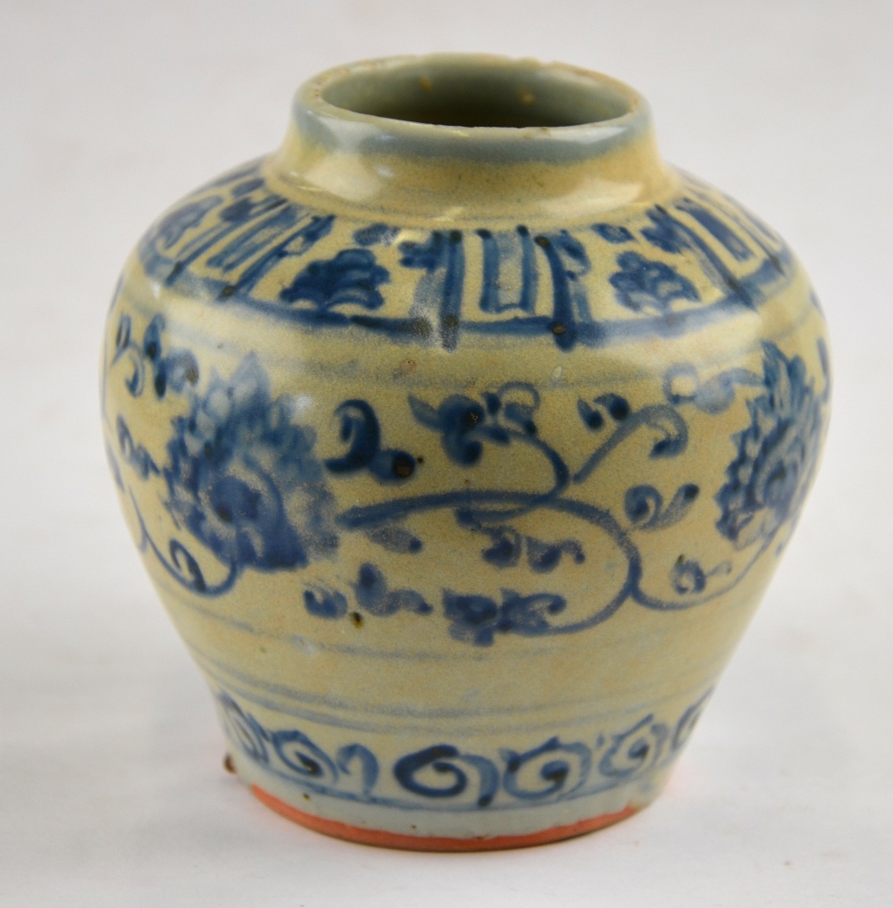 Chinese Ming Dynasty - small blue and white vase decorated with a central flower and leaf scroll, 10