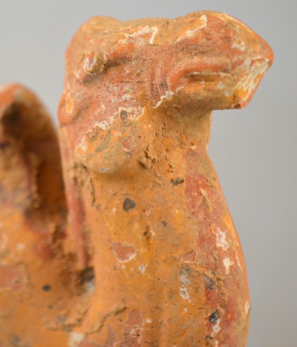 Chinese Tang Dynasty 618 - 907 AD - a pottery funerary figure of a camel, 13.3 cm h. Condition - Image 3 of 9