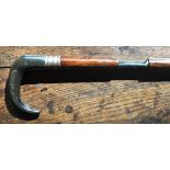 A Dumonthier .410 gauge walking stick shotgun with horn handle and revolving nickel trigger-guard,