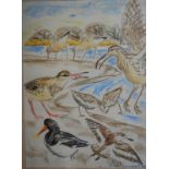 John Tennent (b. 1926) - Sketch of avocets and other water fowl, crayons, signed and dated '80 to