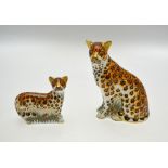 Two Royal Crown Derby paperweights - Leopardess 658/950 and Leopard Cub 658/950, gold stoppers,