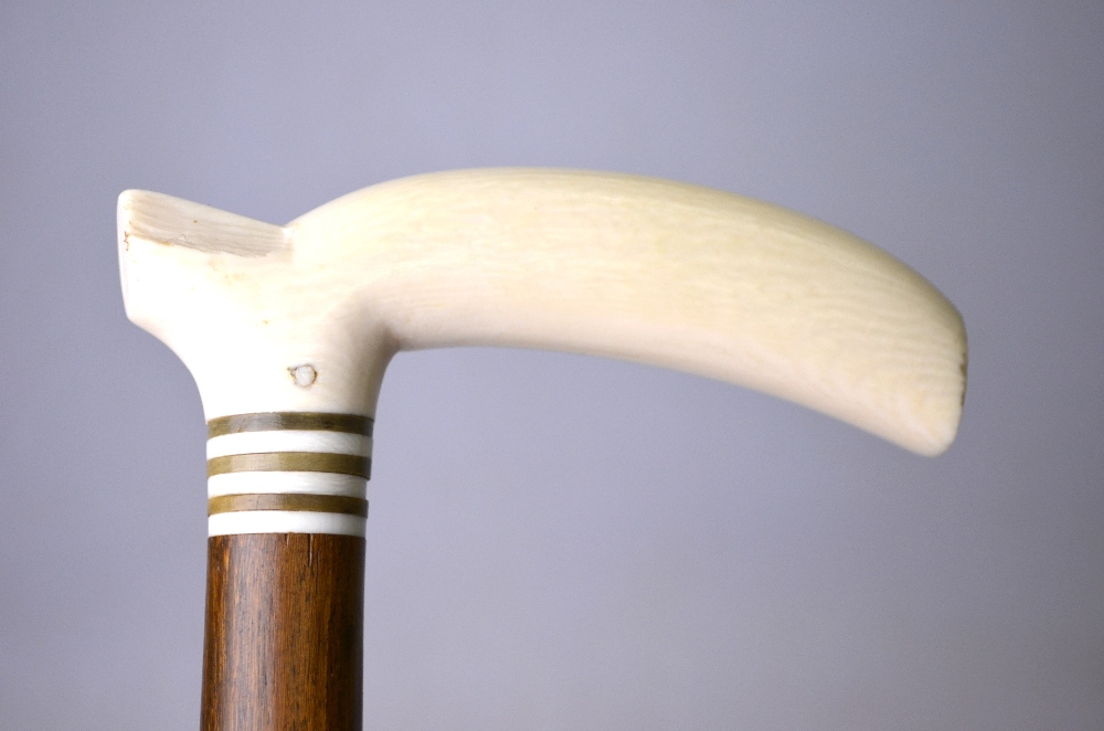 A malacca walking stick with ivory handle and white metal band, - Image 2 of 6