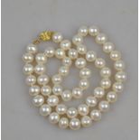 A single row of freshwater cultured pearls,