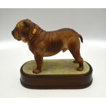 A Royal Worcester model - The Bulldog, circa 1968, 19 cm c/w wooden plinth Condition Report good