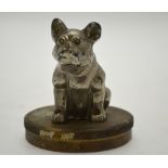 A chromium plated seated bulldog car mascot on radiator cap,