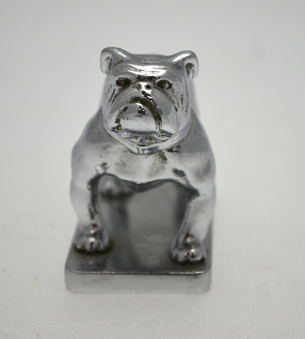 A chromium plated standing bulldog car mascot, - Image 4 of 4