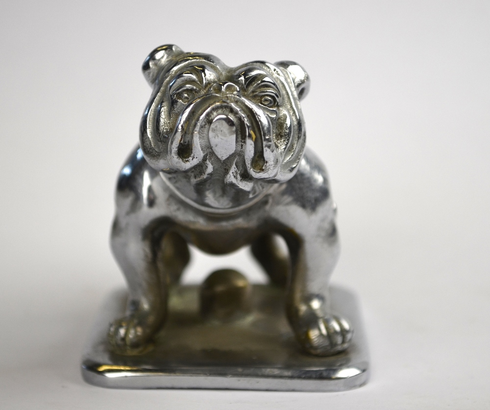 A chromium plated standing bulldog car mascot, - Image 2 of 5