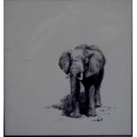 ** David Shepherd (b 1931) - 'Approaching Elephant', biro, 11 x 10.