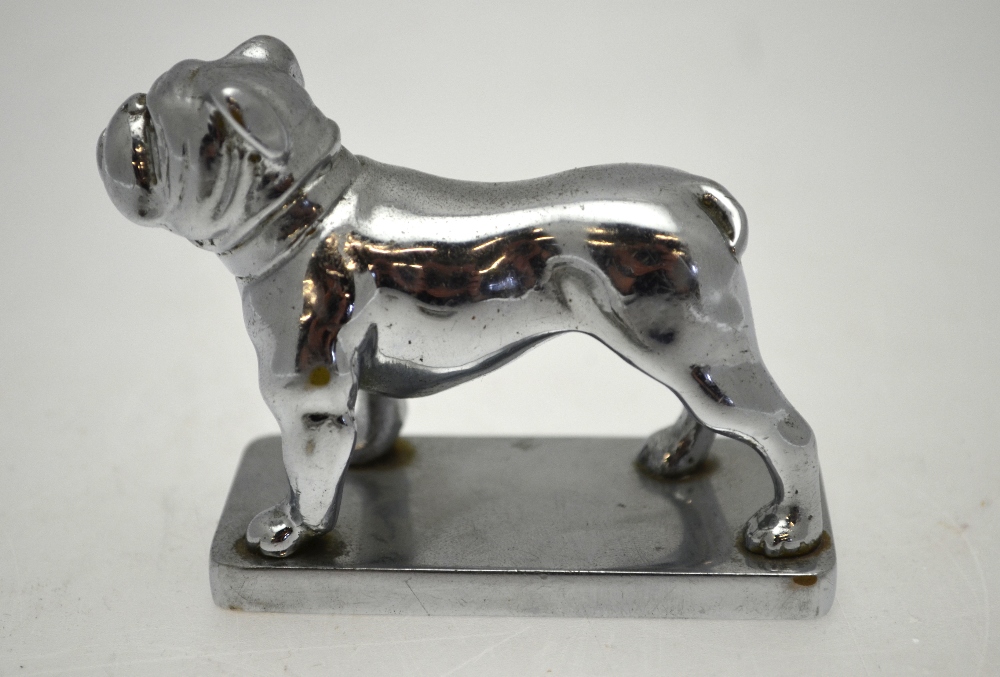 A chromium plated standing bulldog car mascot, - Image 3 of 4